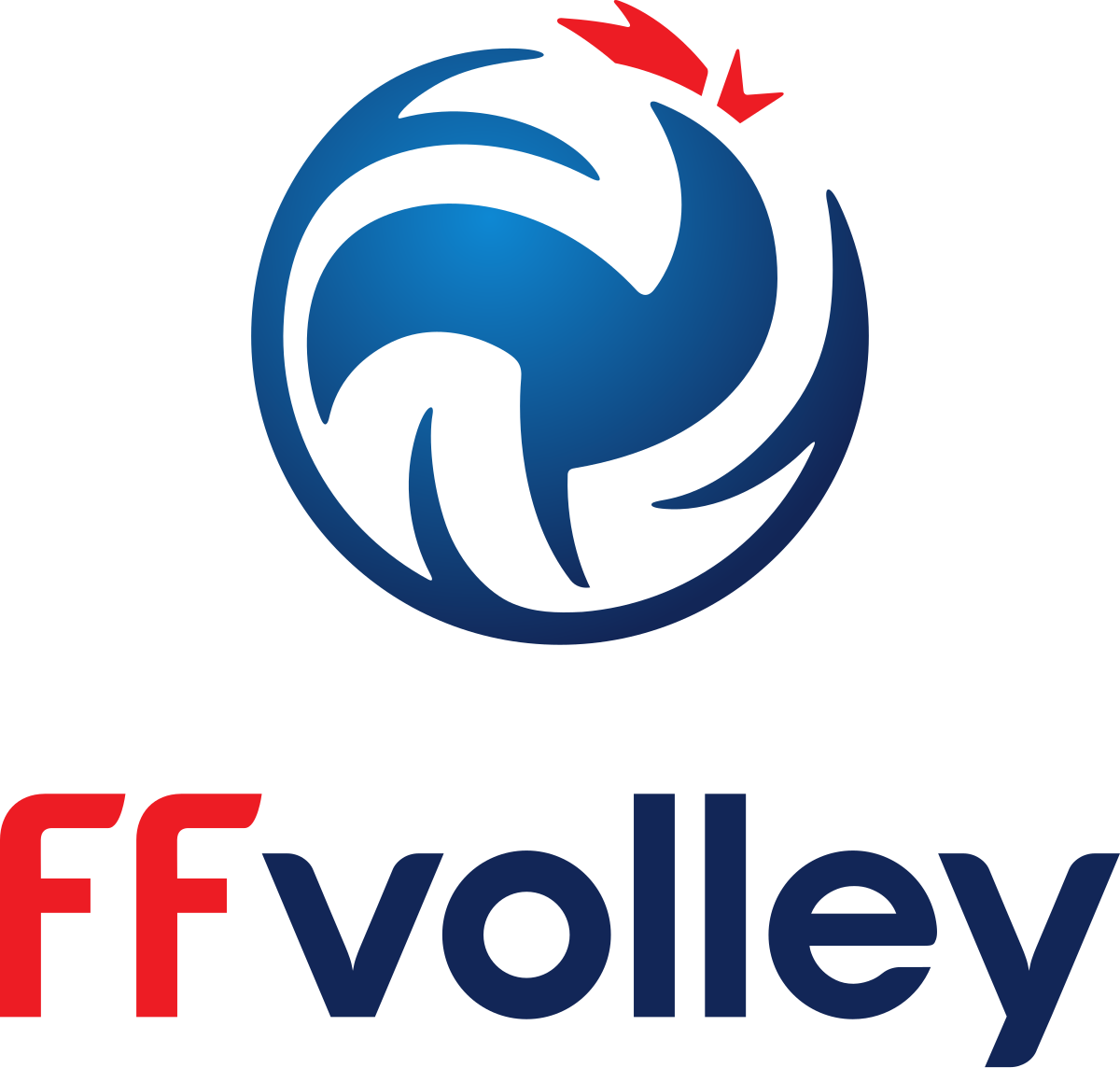 Fédération Française de Volley-Ball