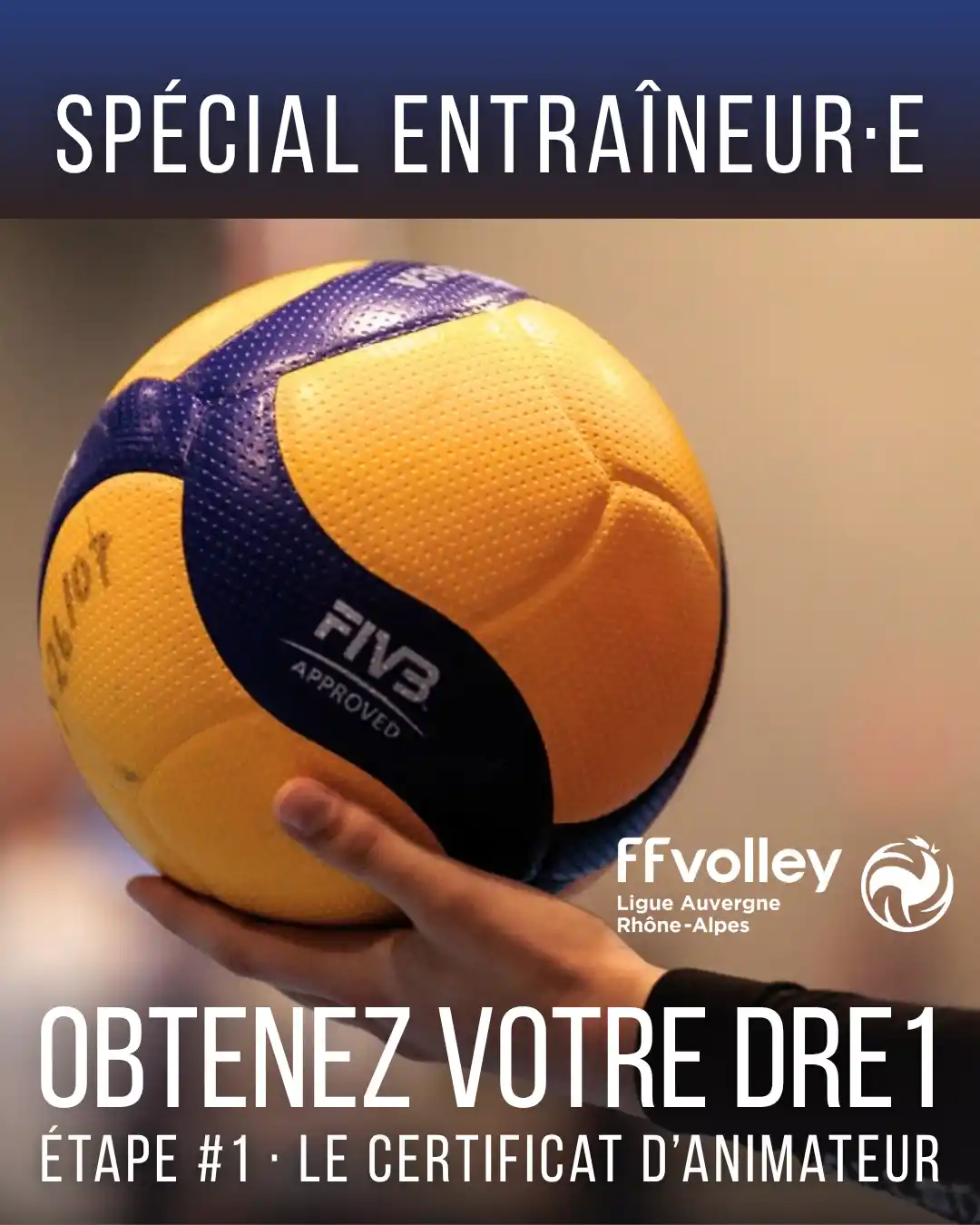 affiche de présentation du certificat d'animateur, première étape du DRE1